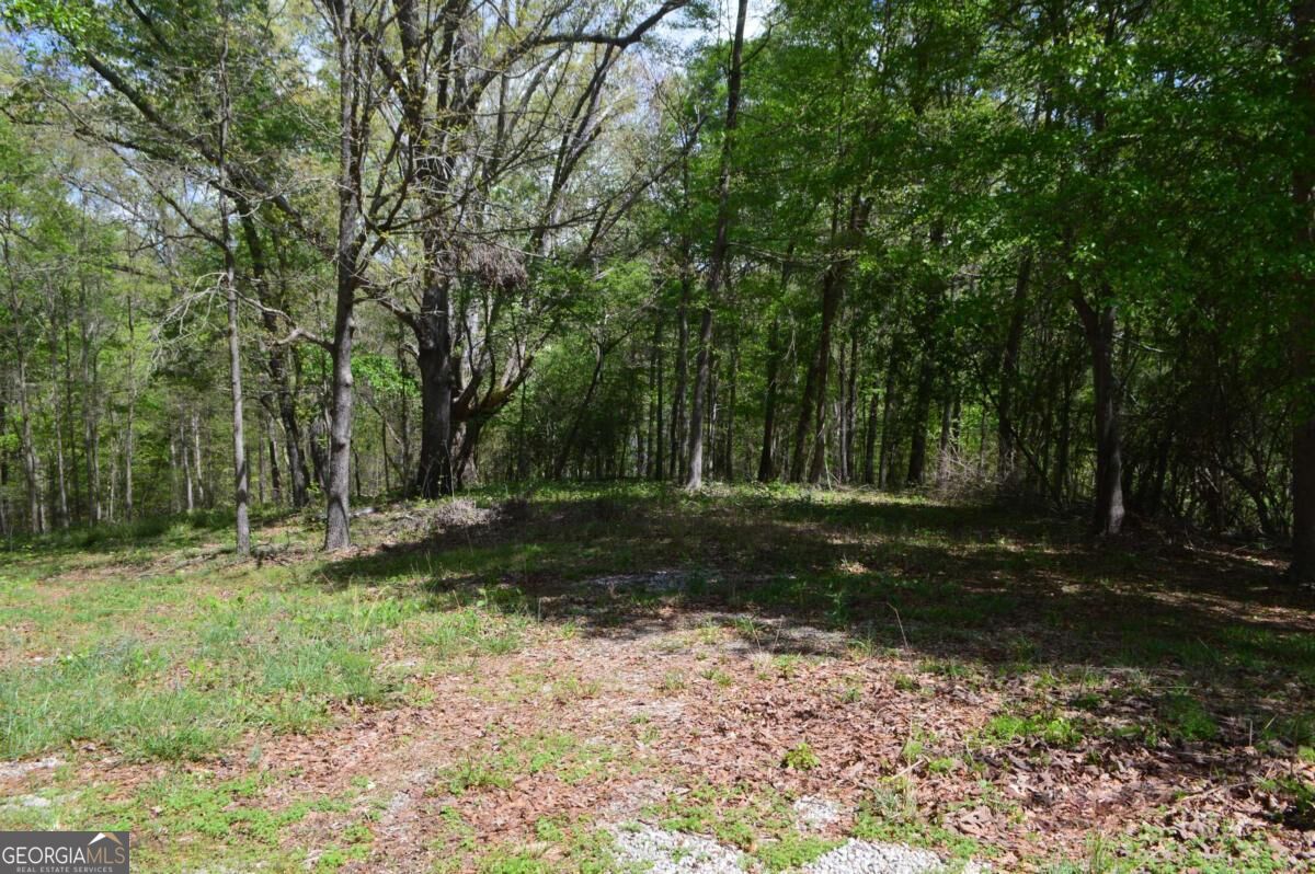 66 Topaz Lane Royston GA 30662
