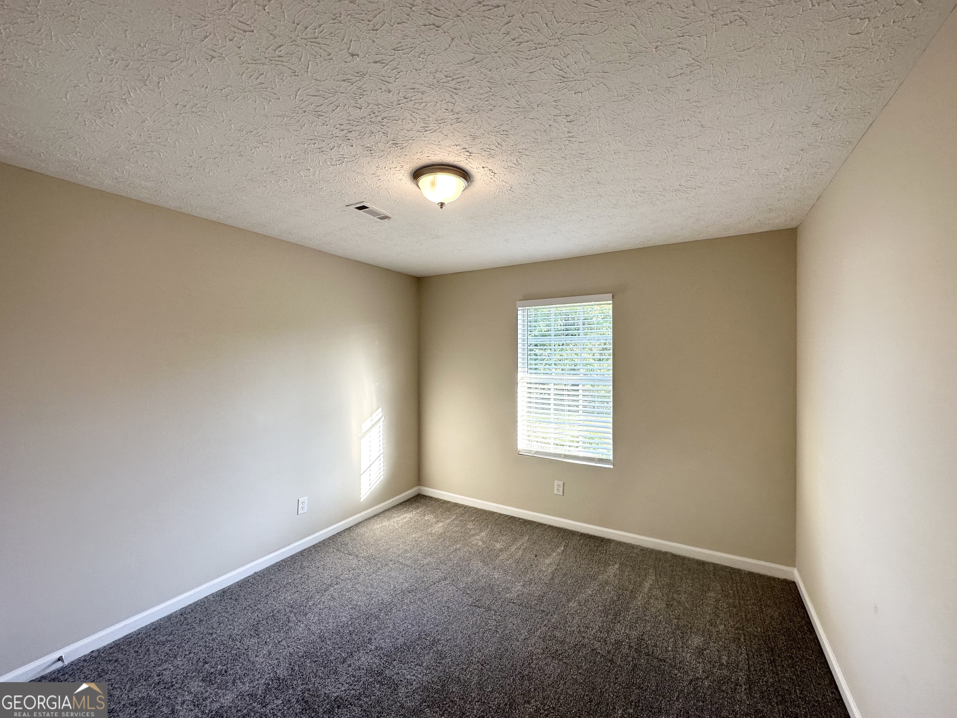 825 Rapid Court Mcdonough GA 30252
