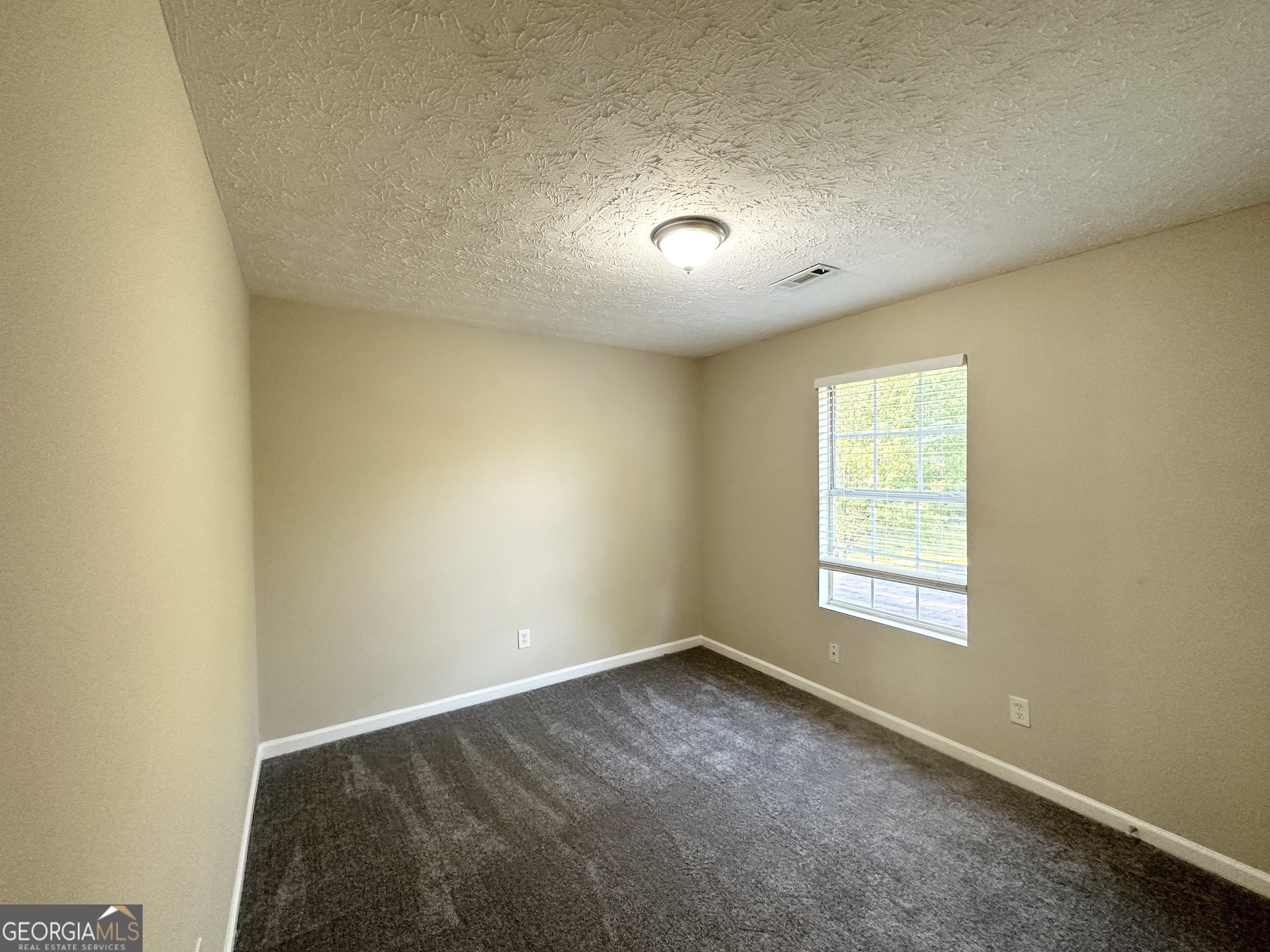 825 Rapid Court Mcdonough GA 30252