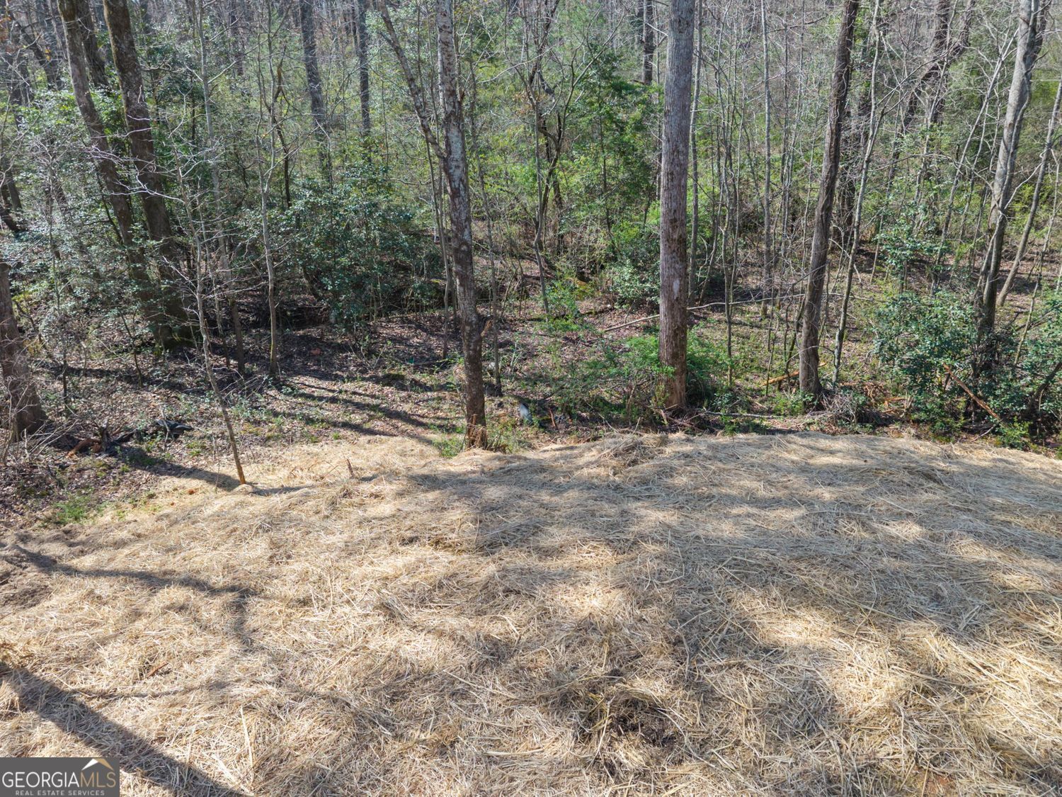 769 Dawn Place Alto GA 30510