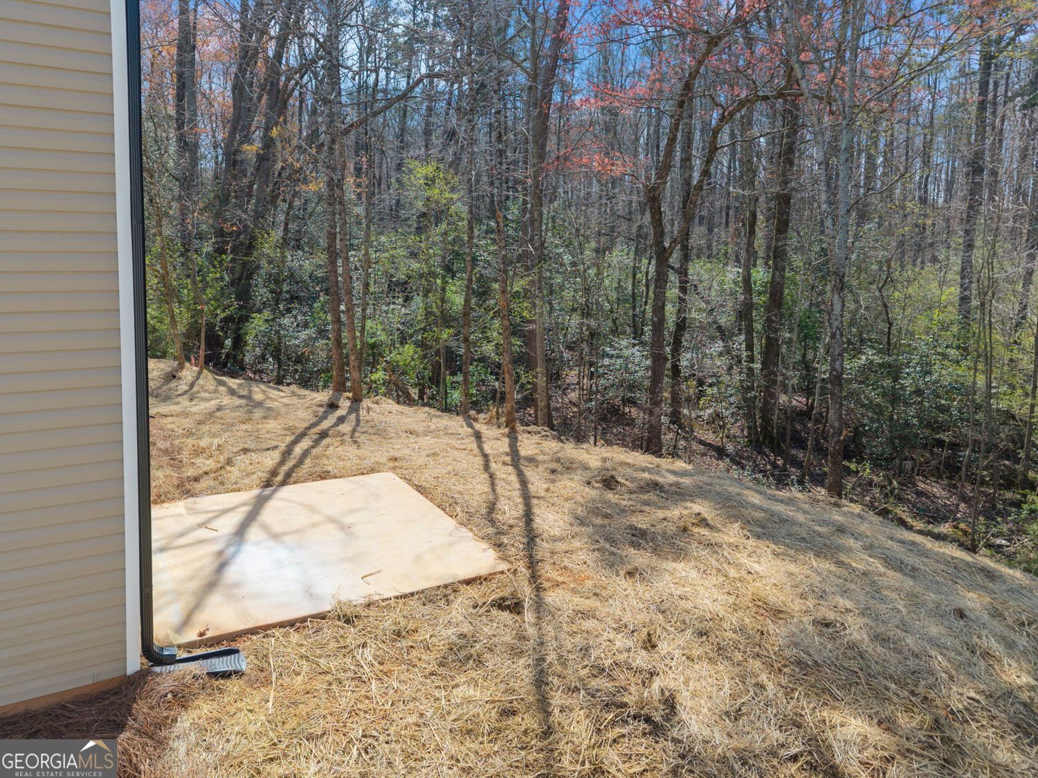 769 Dawn Place Alto GA 30510
