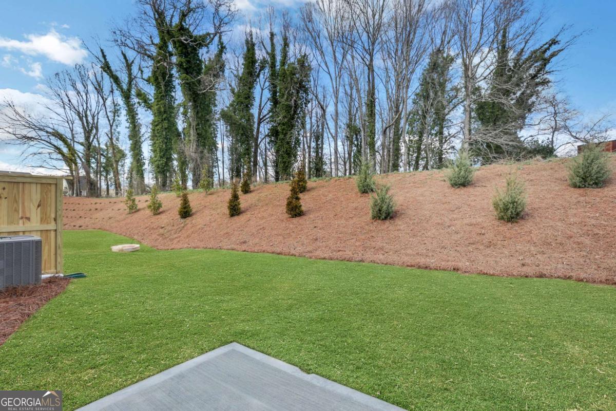3 Trace Bluff Dawsonville GA 30534