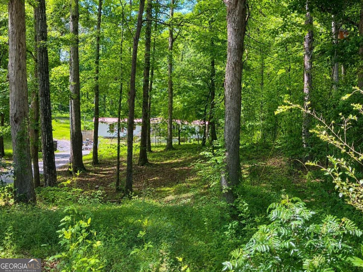 400 Kellogg Drive Colbert GA 30628
