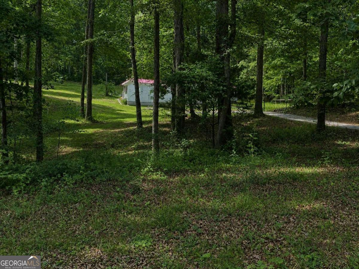 400 Kellogg Drive Colbert GA 30628