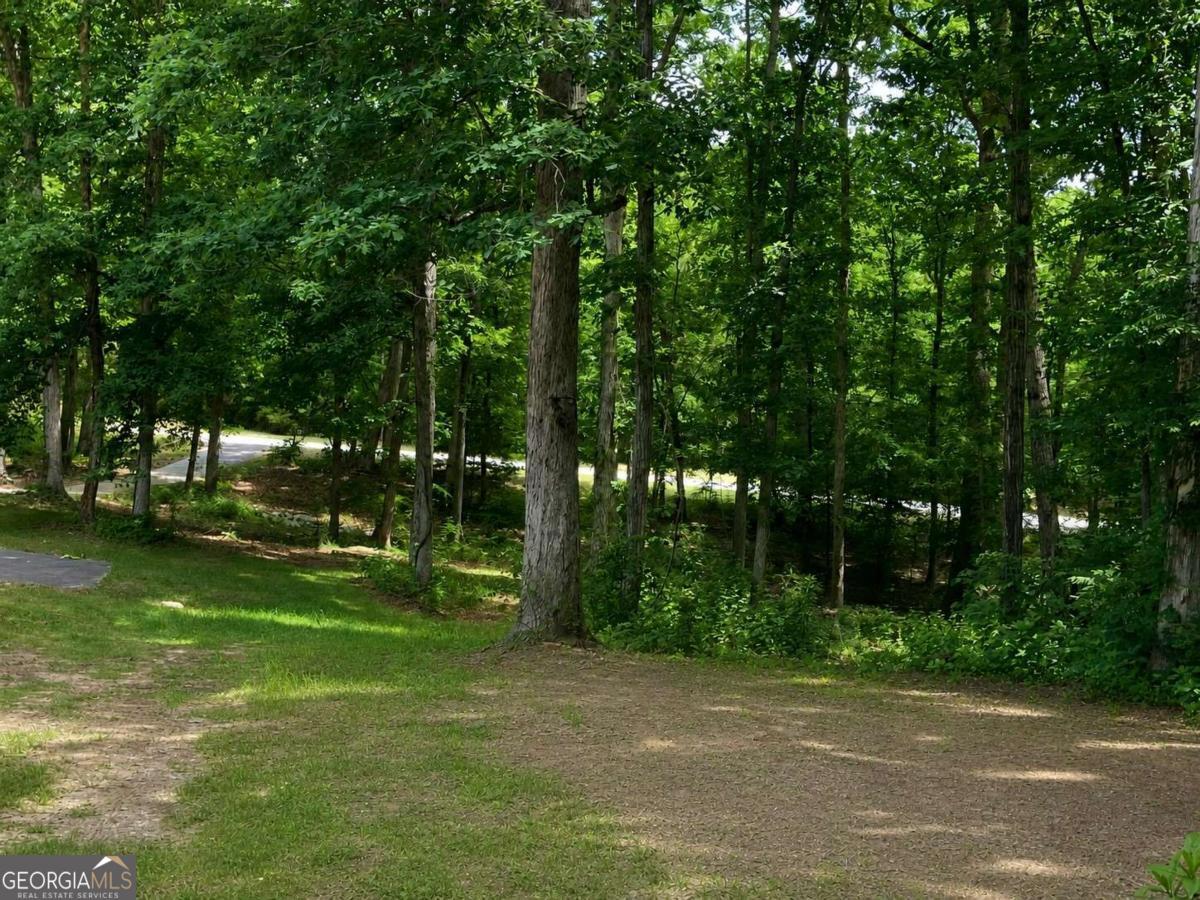 400 Kellogg Drive Colbert GA 30628
