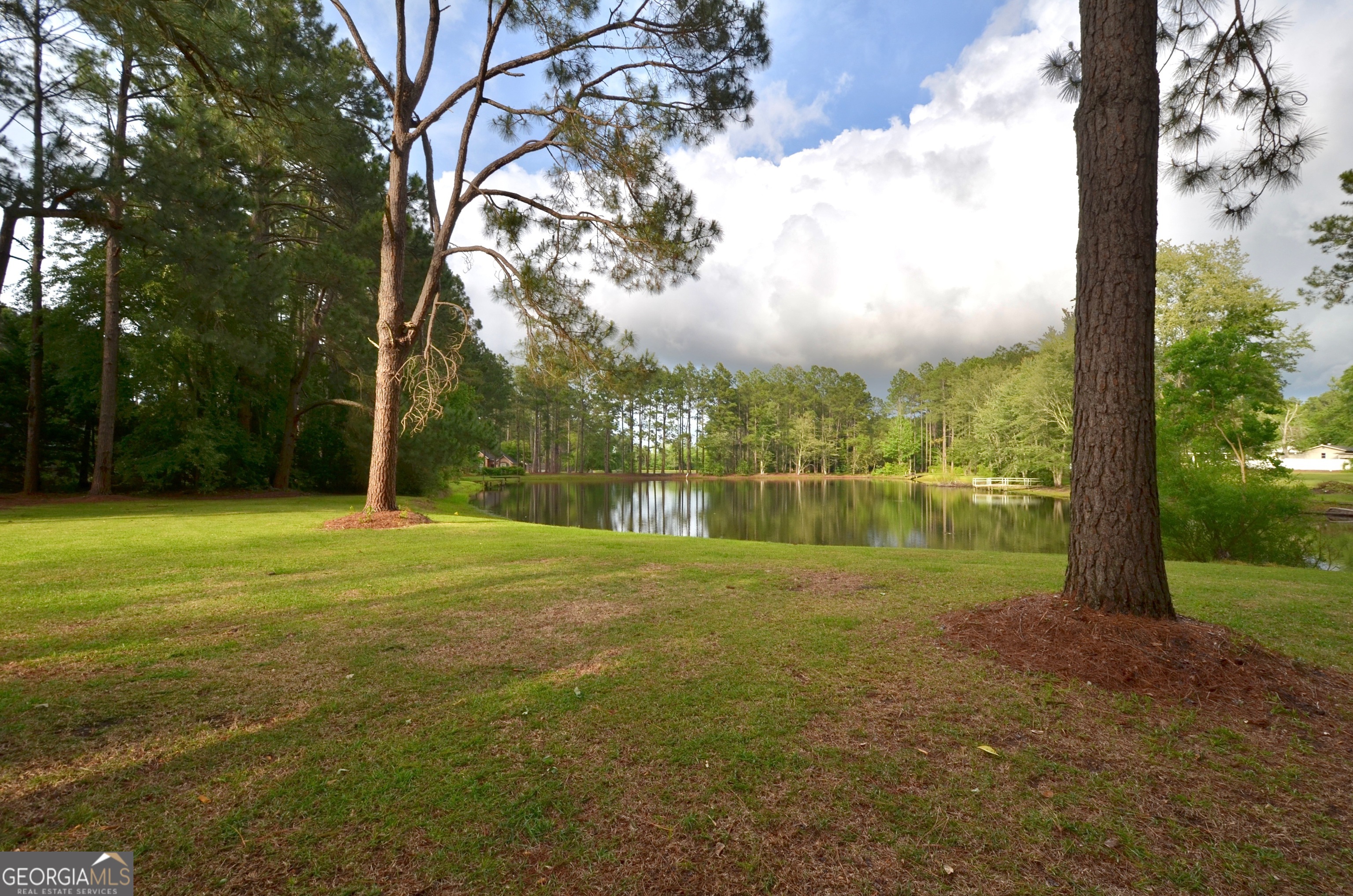 41 Pine Lane Drive Eastman GA 31023