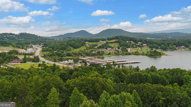 1130 Buckeye Lane Hiawassee GA 30546