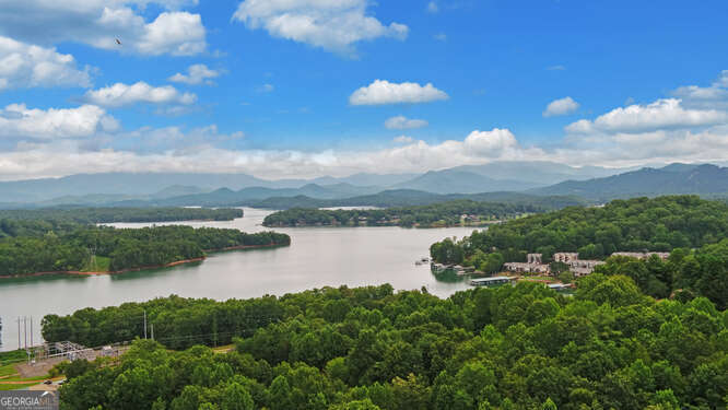 1130 Buckeye Lane Hiawassee GA 30546