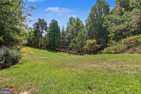 825 Satterfield Road Cleveland GA 30528