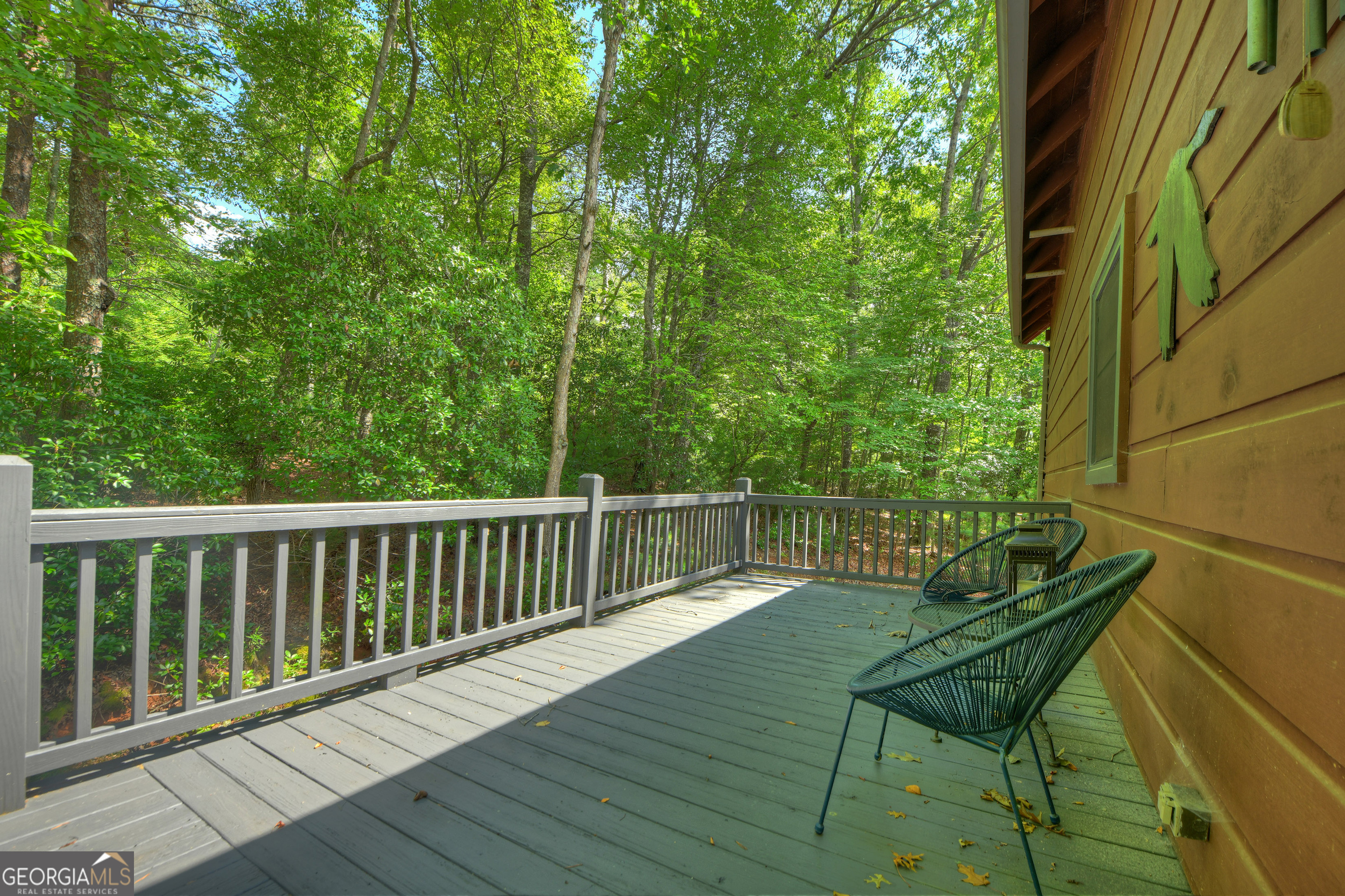 160 Adams Circle Mineral Bluff GA 30559