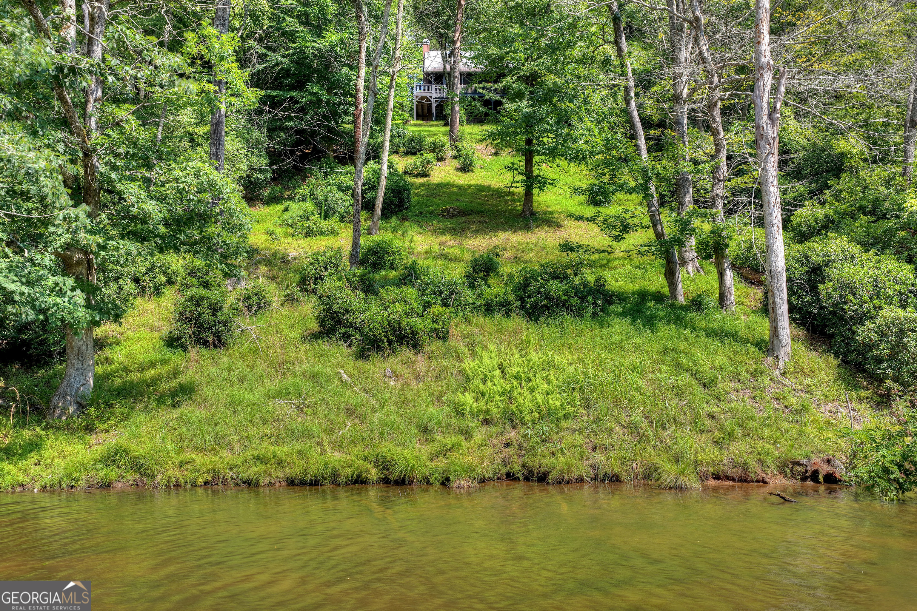160 Adams Circle Mineral Bluff GA 30559