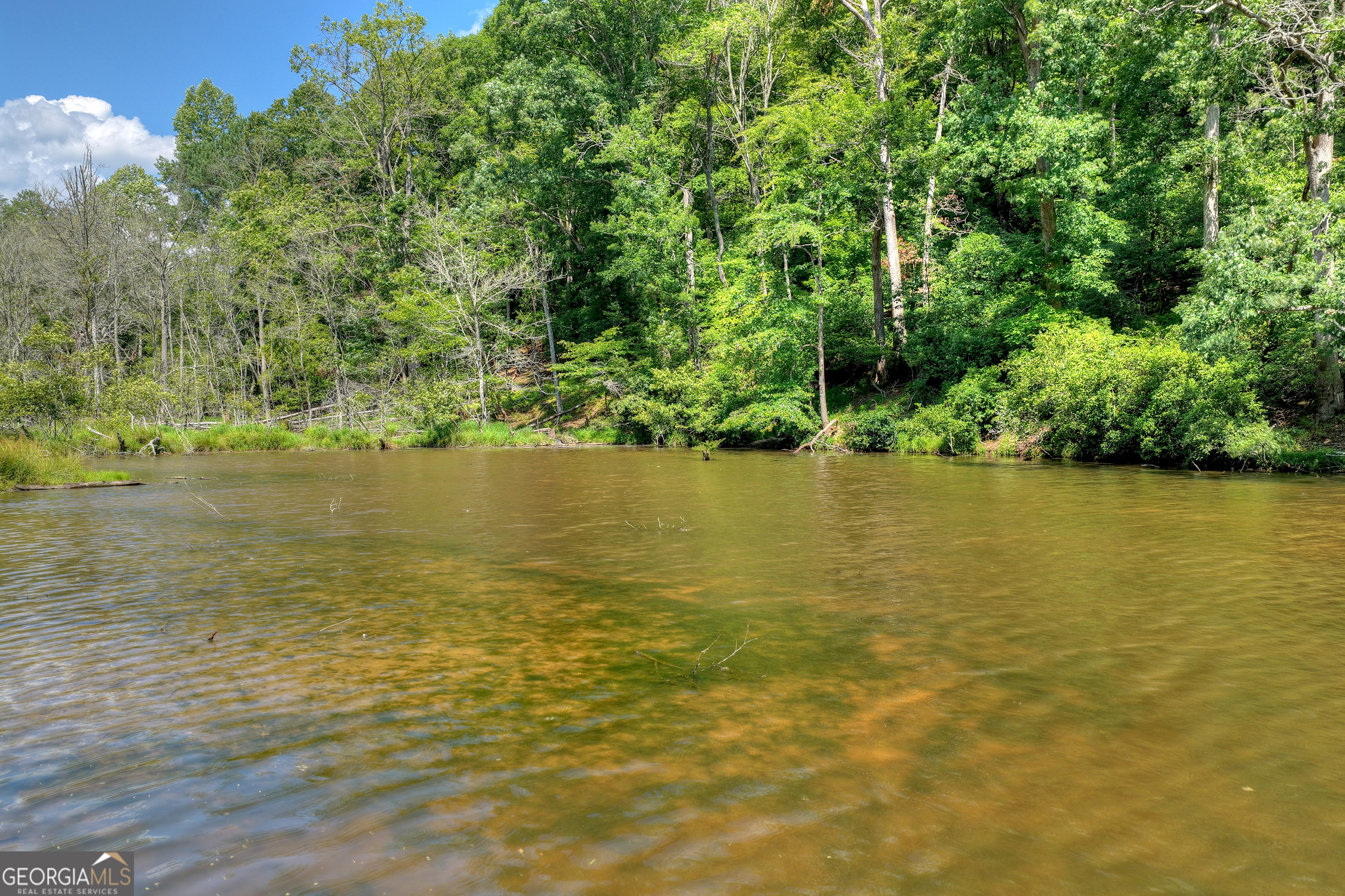 160 Adams Circle Mineral Bluff GA 30559