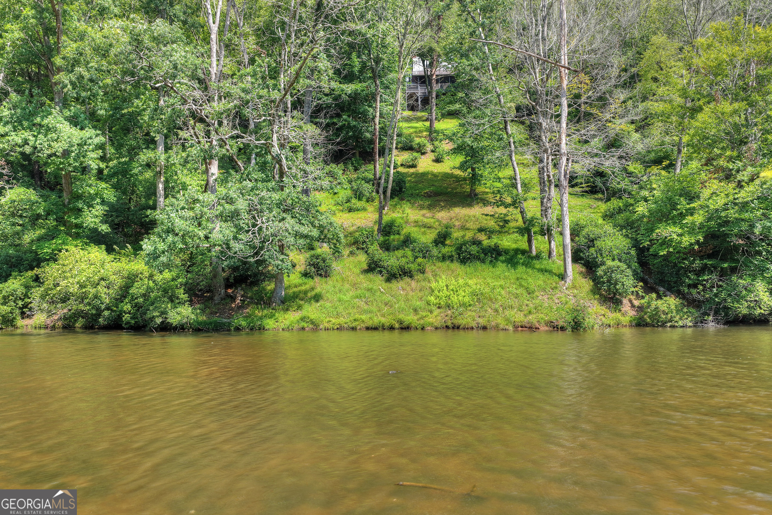 160 Adams Circle Mineral Bluff GA 30559