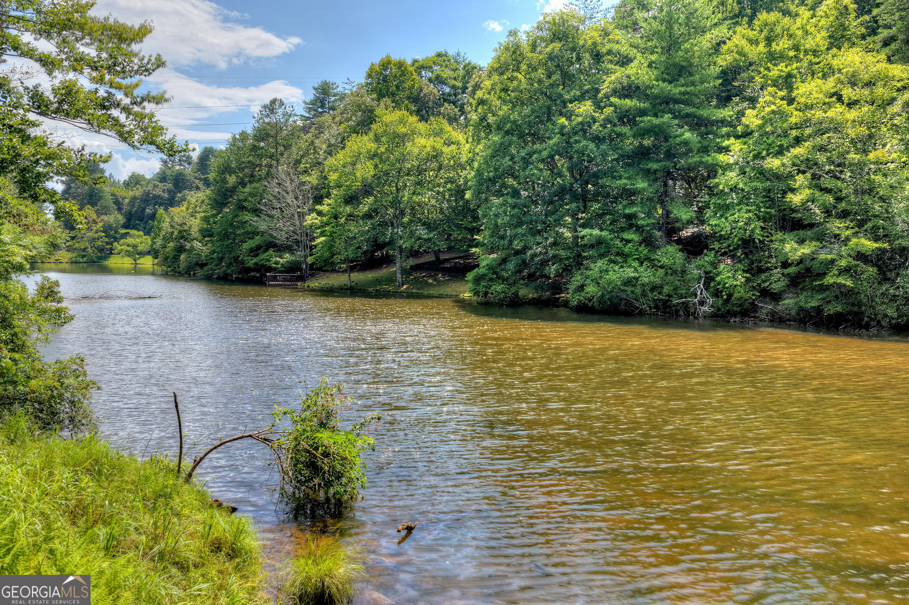 160 Adams Circle Mineral Bluff GA 30559