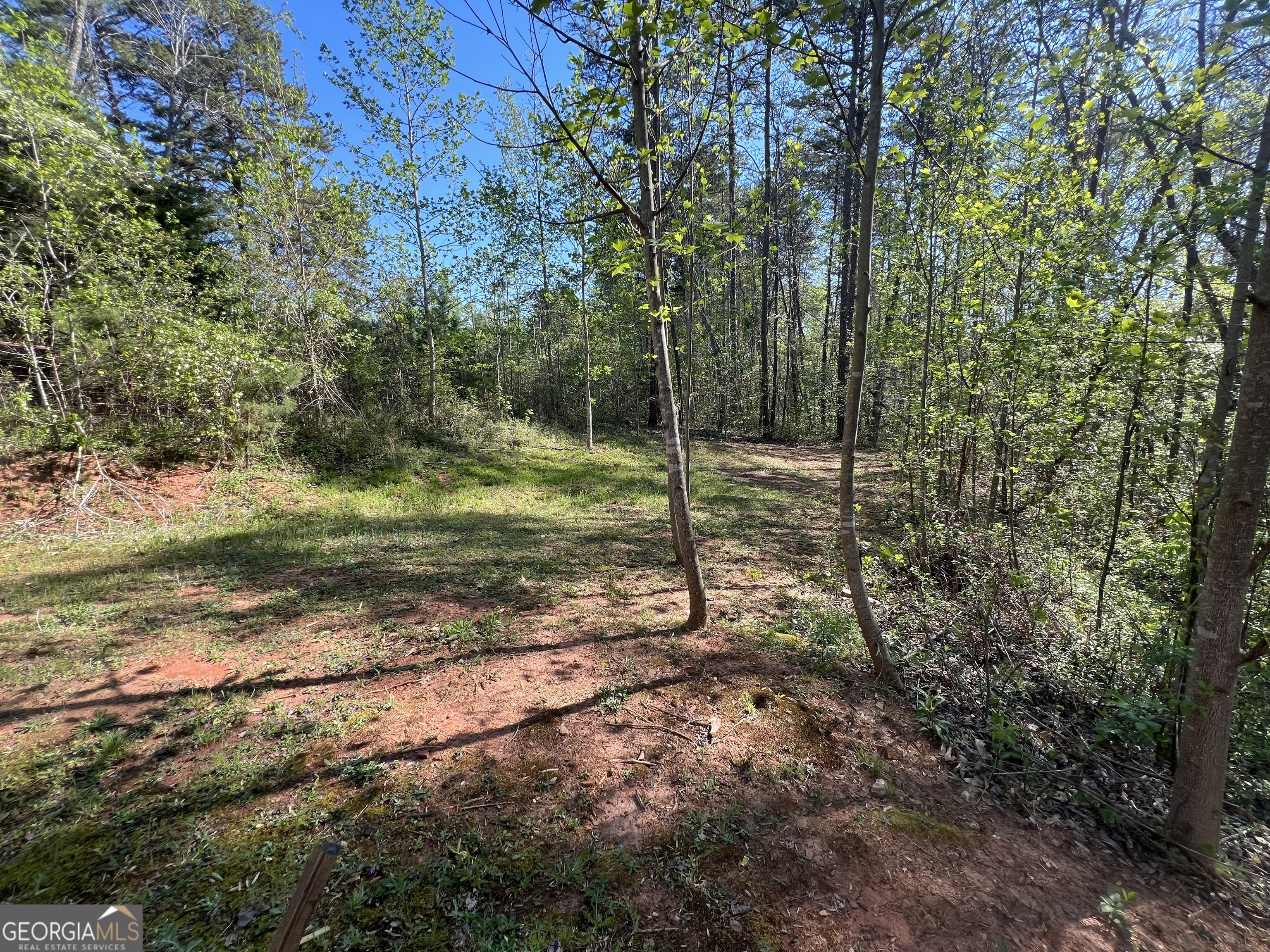 130 Goff Drive Martin GA 30557
