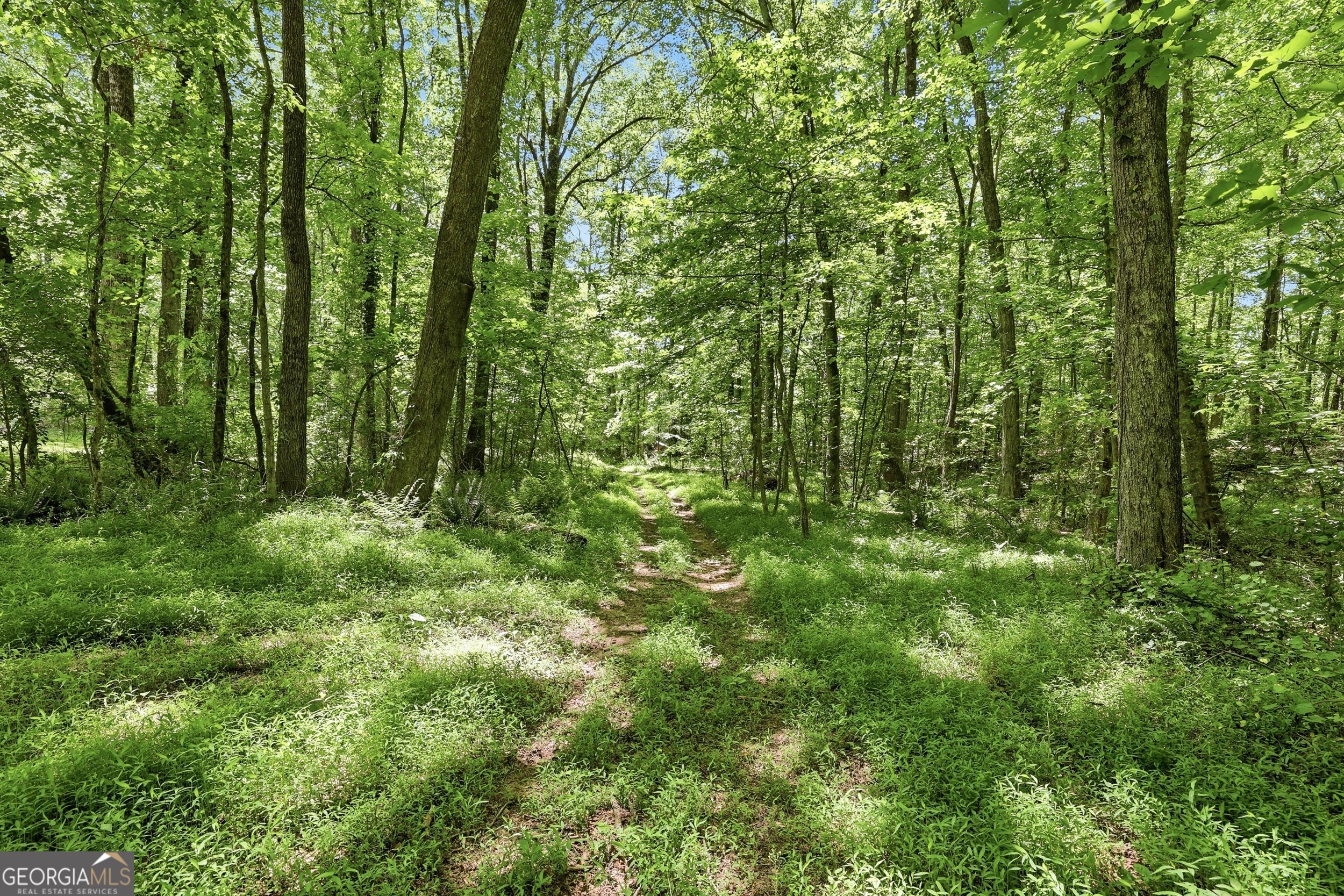 125 King Bird Drive Cleveland GA 30528
