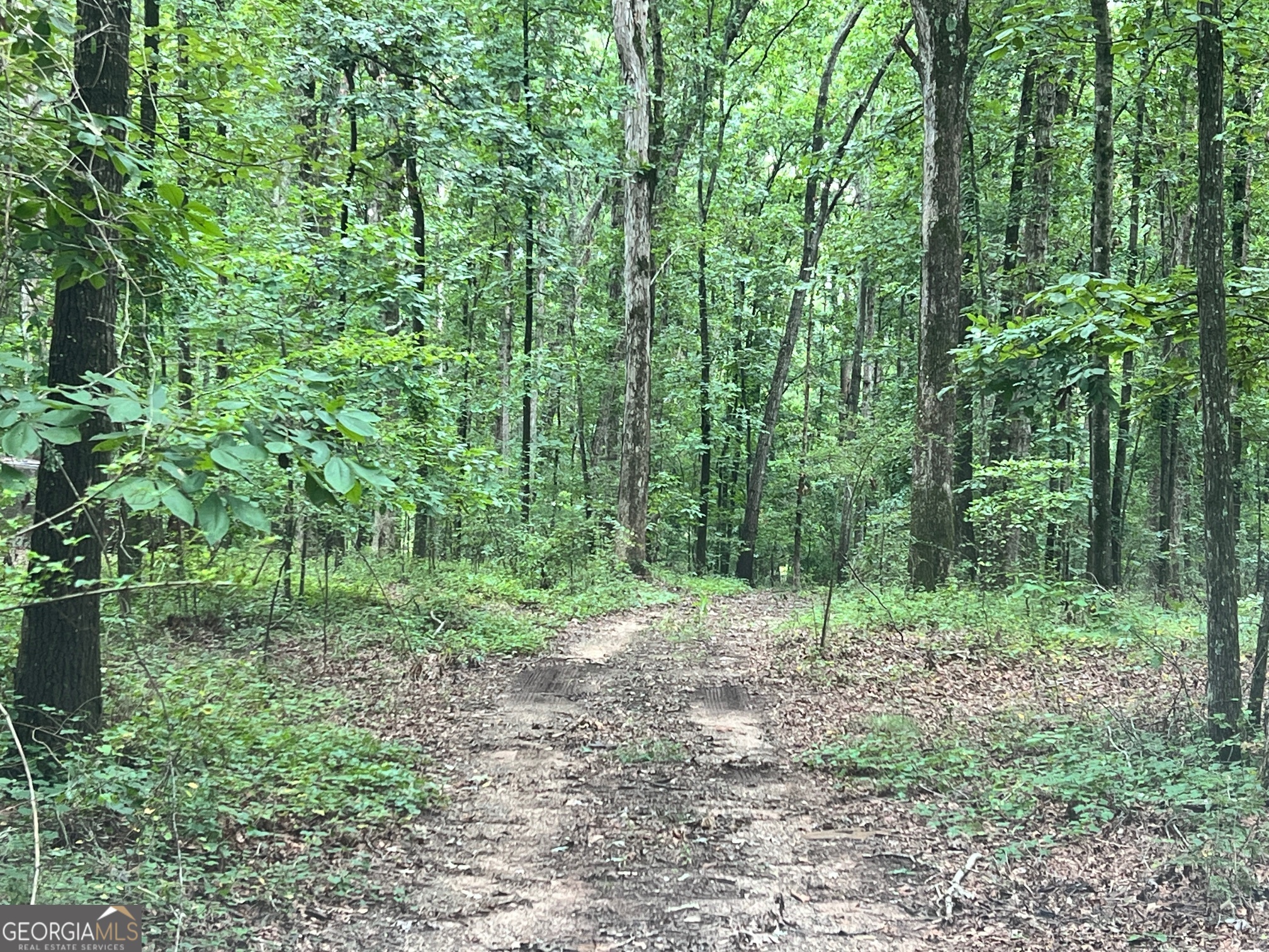 1383 Sims Road SE Winder GA 30680