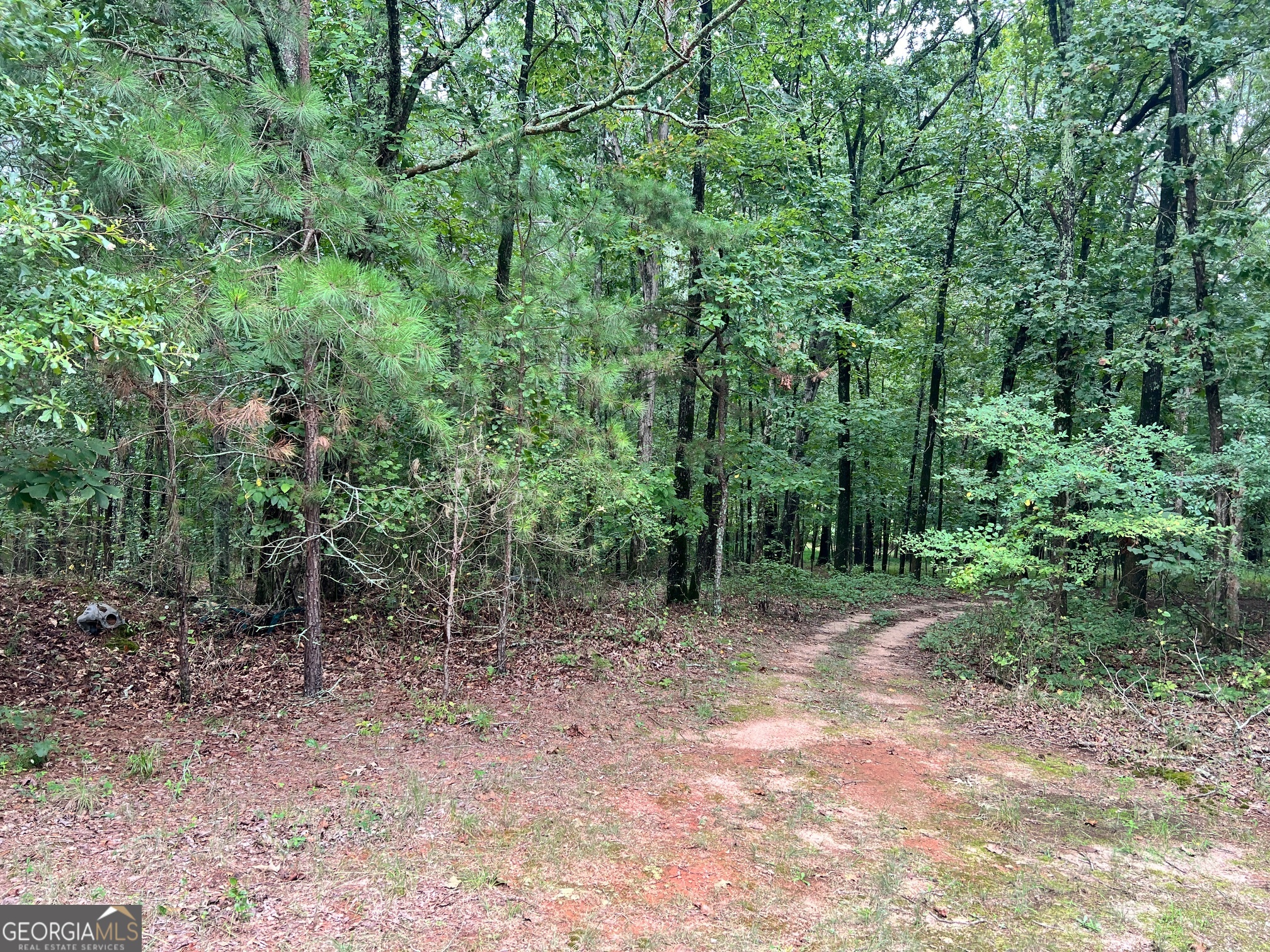 1383 Sims Road SE Winder GA 30680