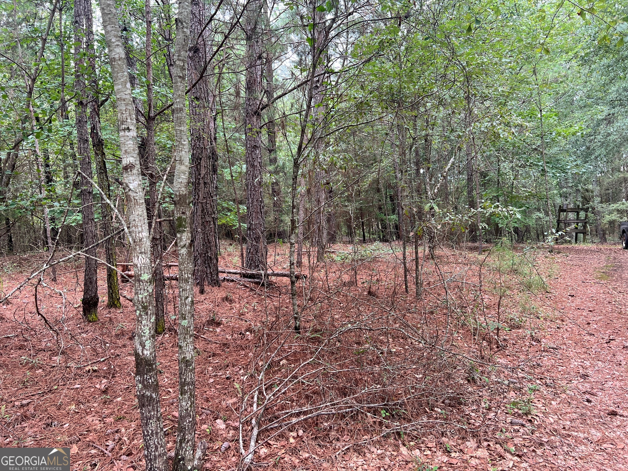 1383 Sims Road SE Winder GA 30680