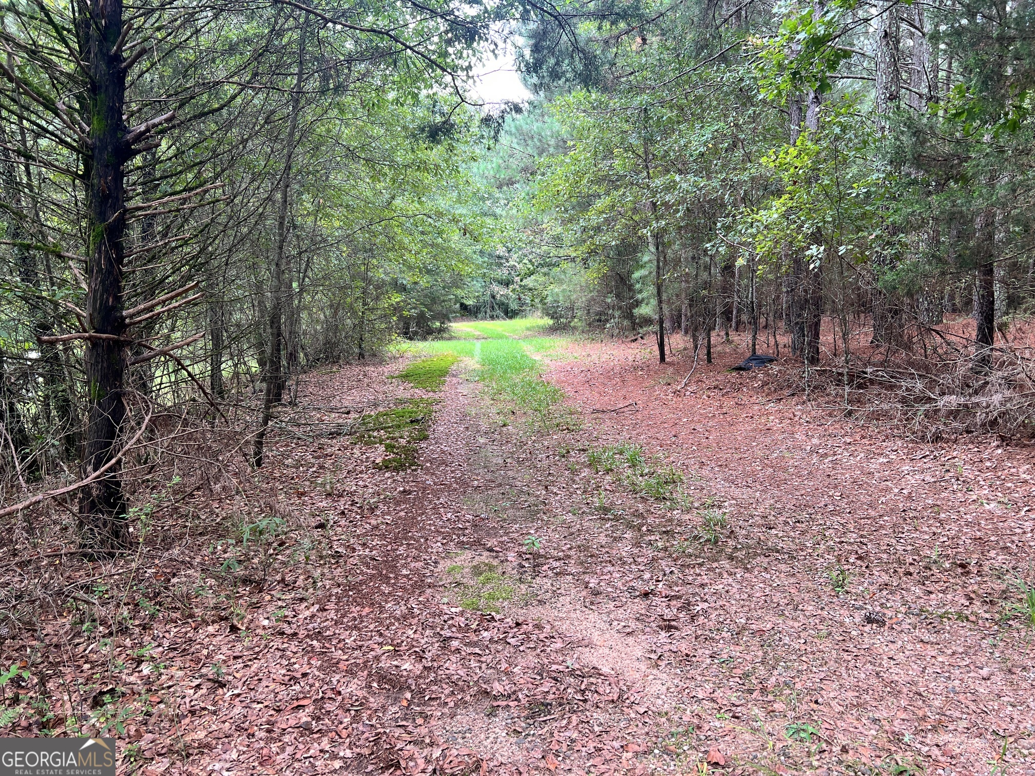 1383 Sims Road SE Winder GA 30680