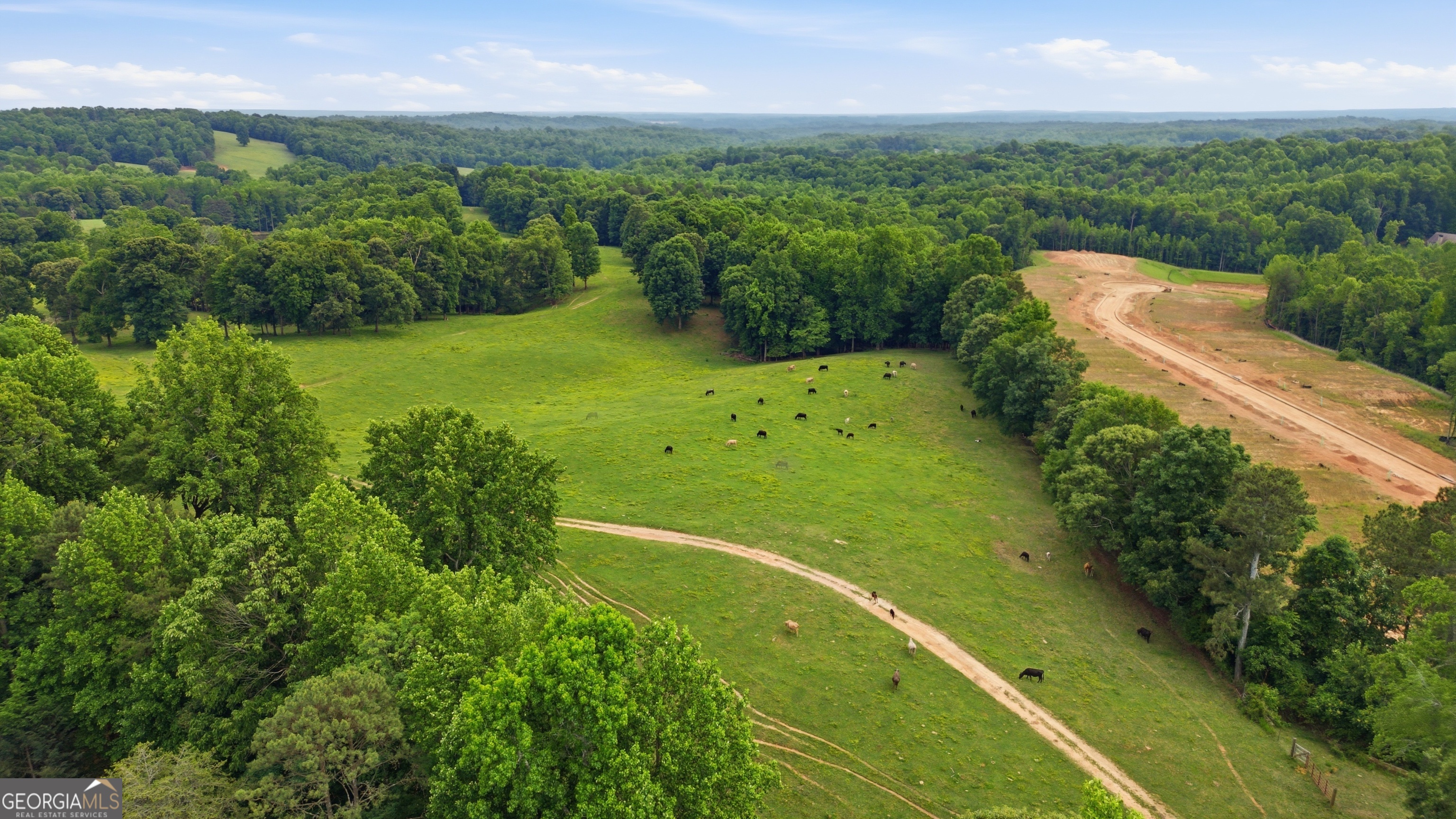 4583 Blooming Way Flowery Branch GA 30542