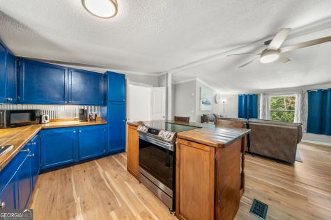 115 Wildwood Trail Cleveland GA 30528