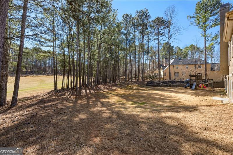 35 Trellis Trace Newnan GA 30265