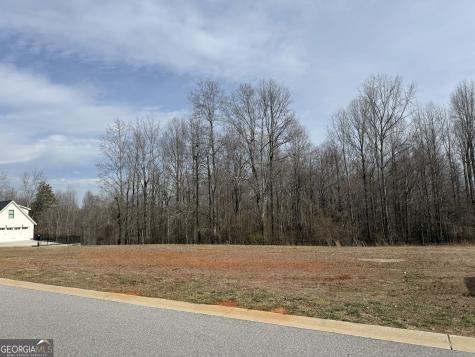 0 Samson Way Cleveland GA 30528