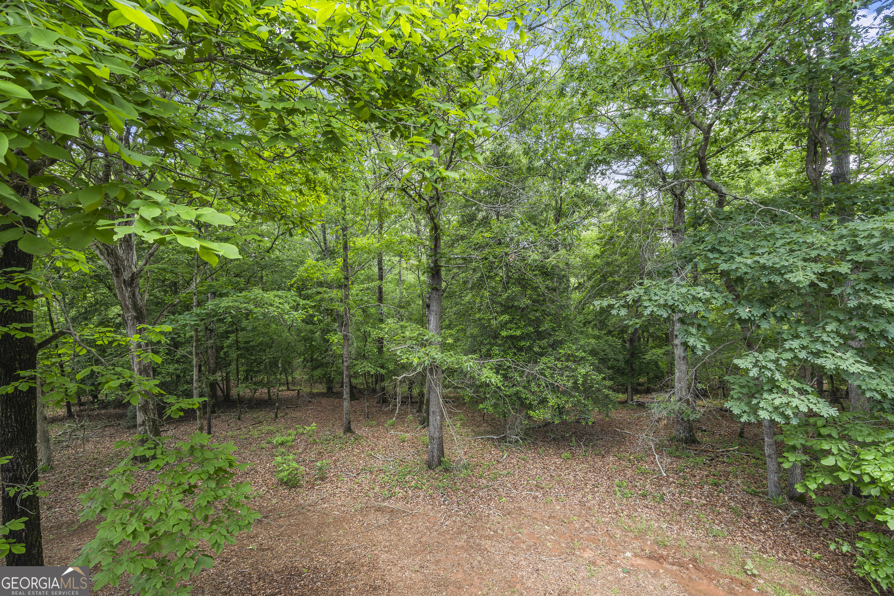 1112 Reno Road Royston GA 30662