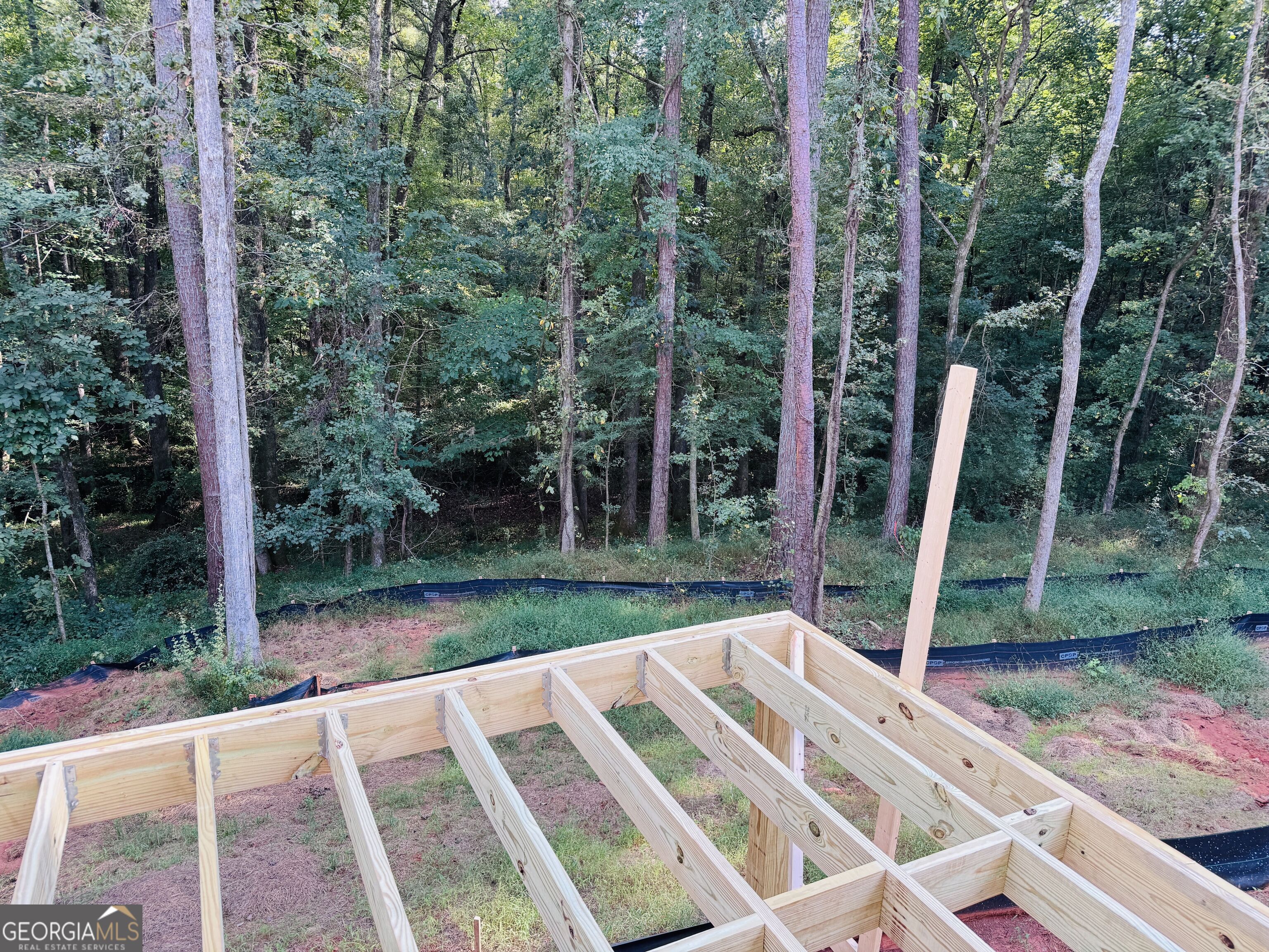 170 Pine Creek Way Winterville GA 30683