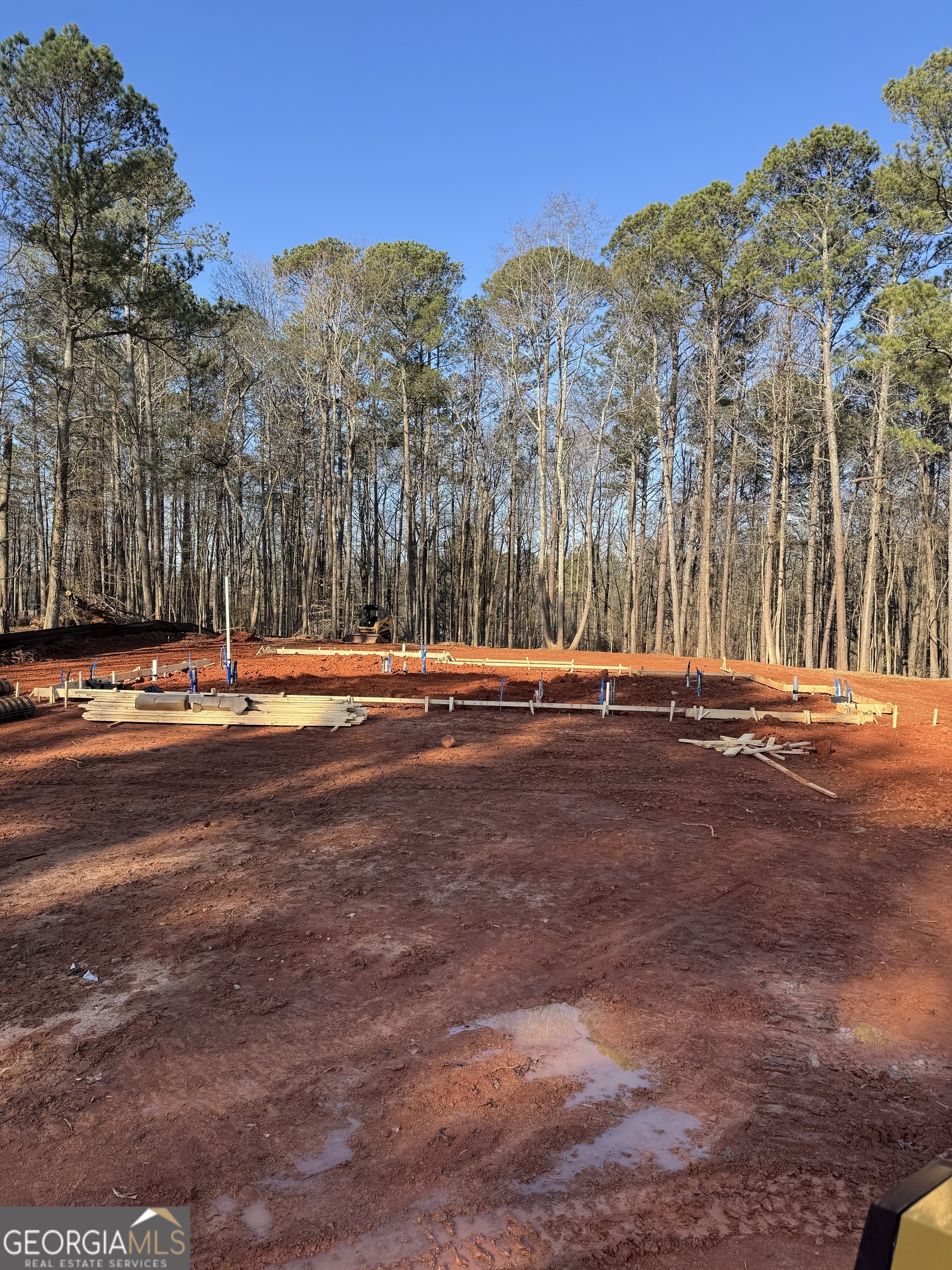 542 Palm Street Holly Springs GA 30115