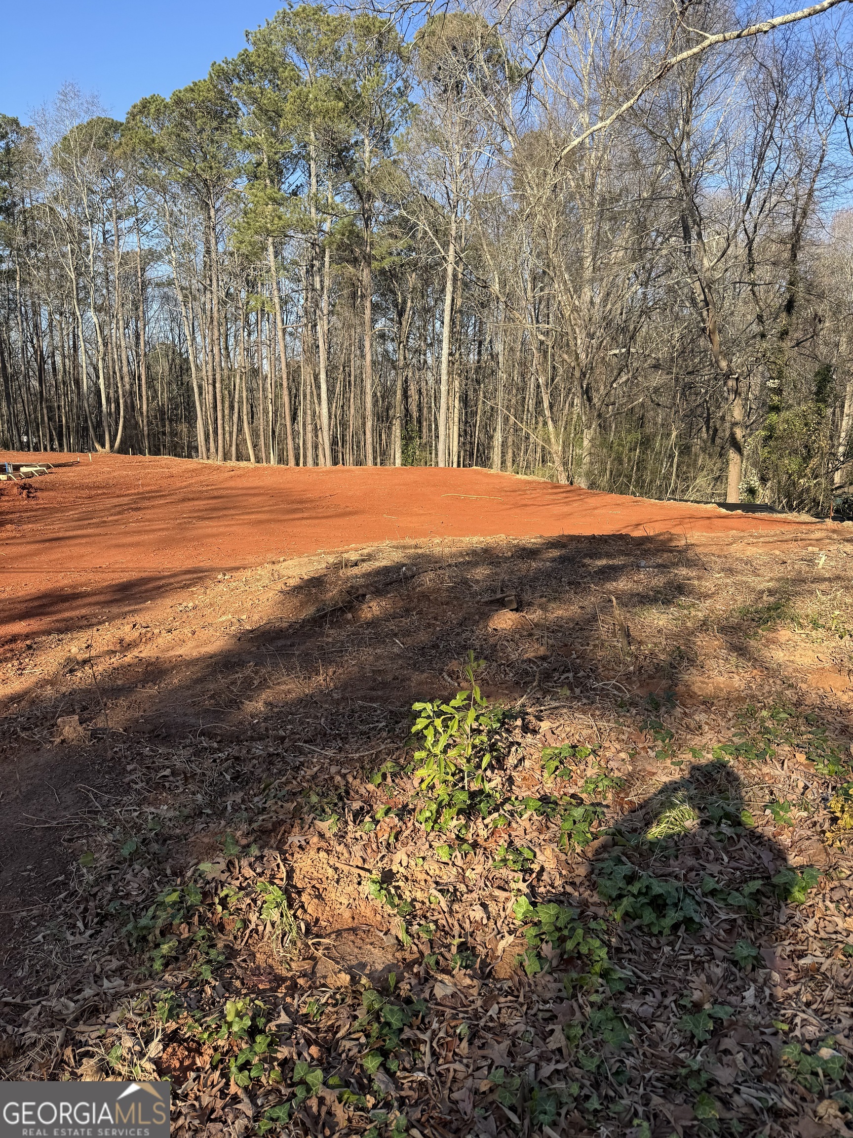 542 Palm Street Holly Springs GA 30115