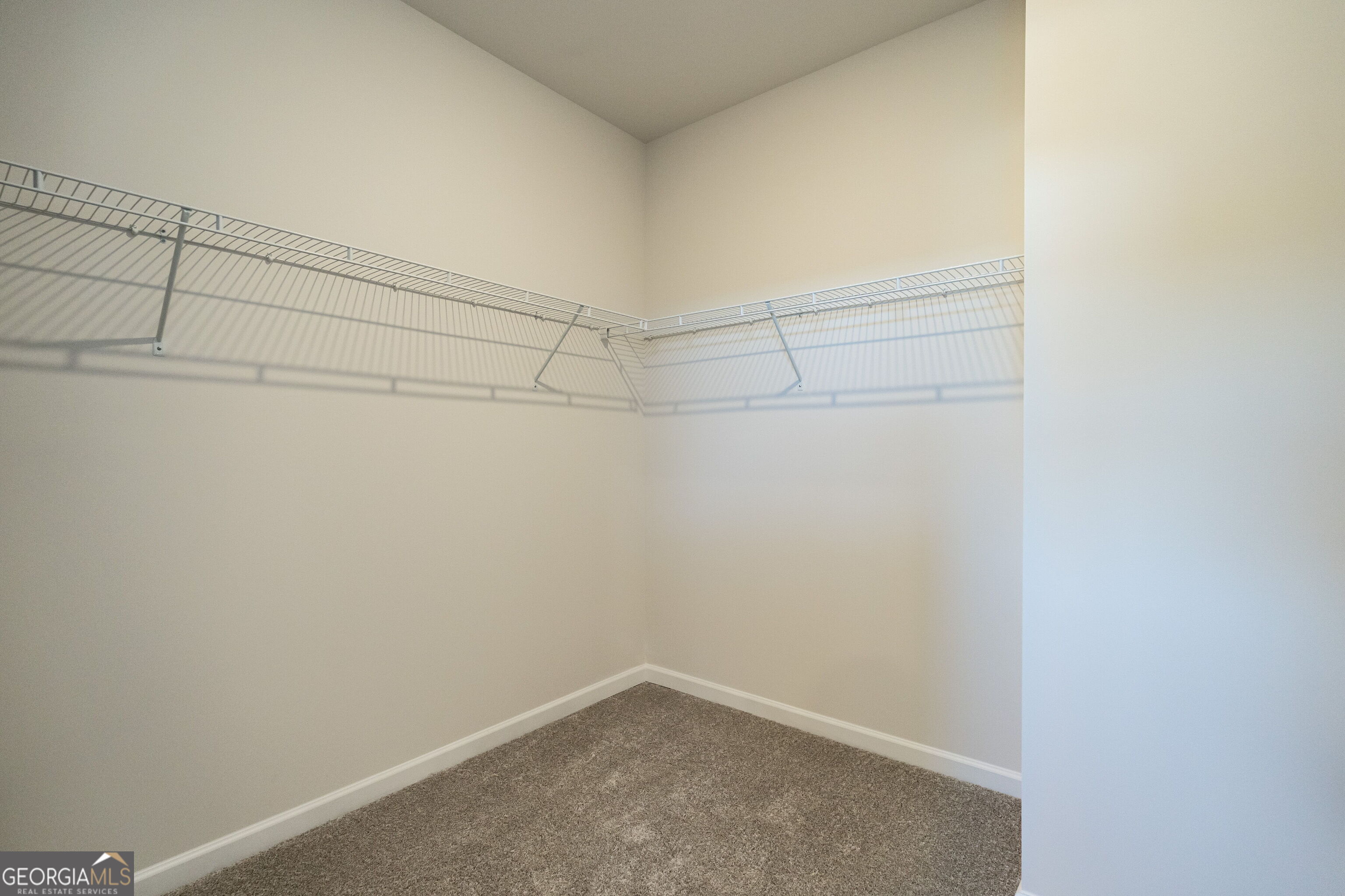1417 Trellis Court Hampton GA 30228