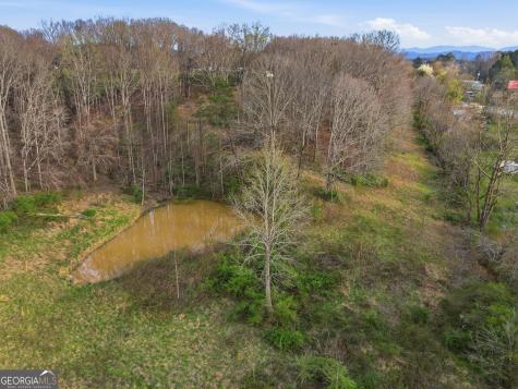 5446 Murphy Highway Blairsville GA 30512