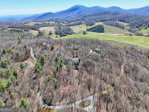 437 Highpoint Drive Scaly Mountain NC 28775