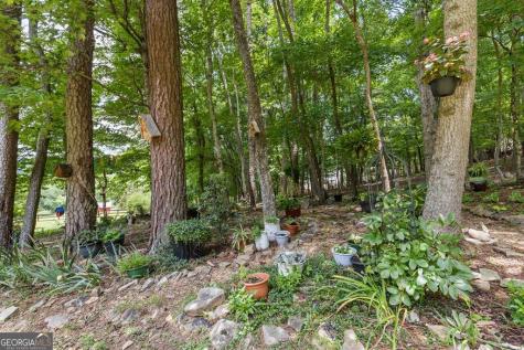 11690 Old Highway 76 Morganton GA 30560