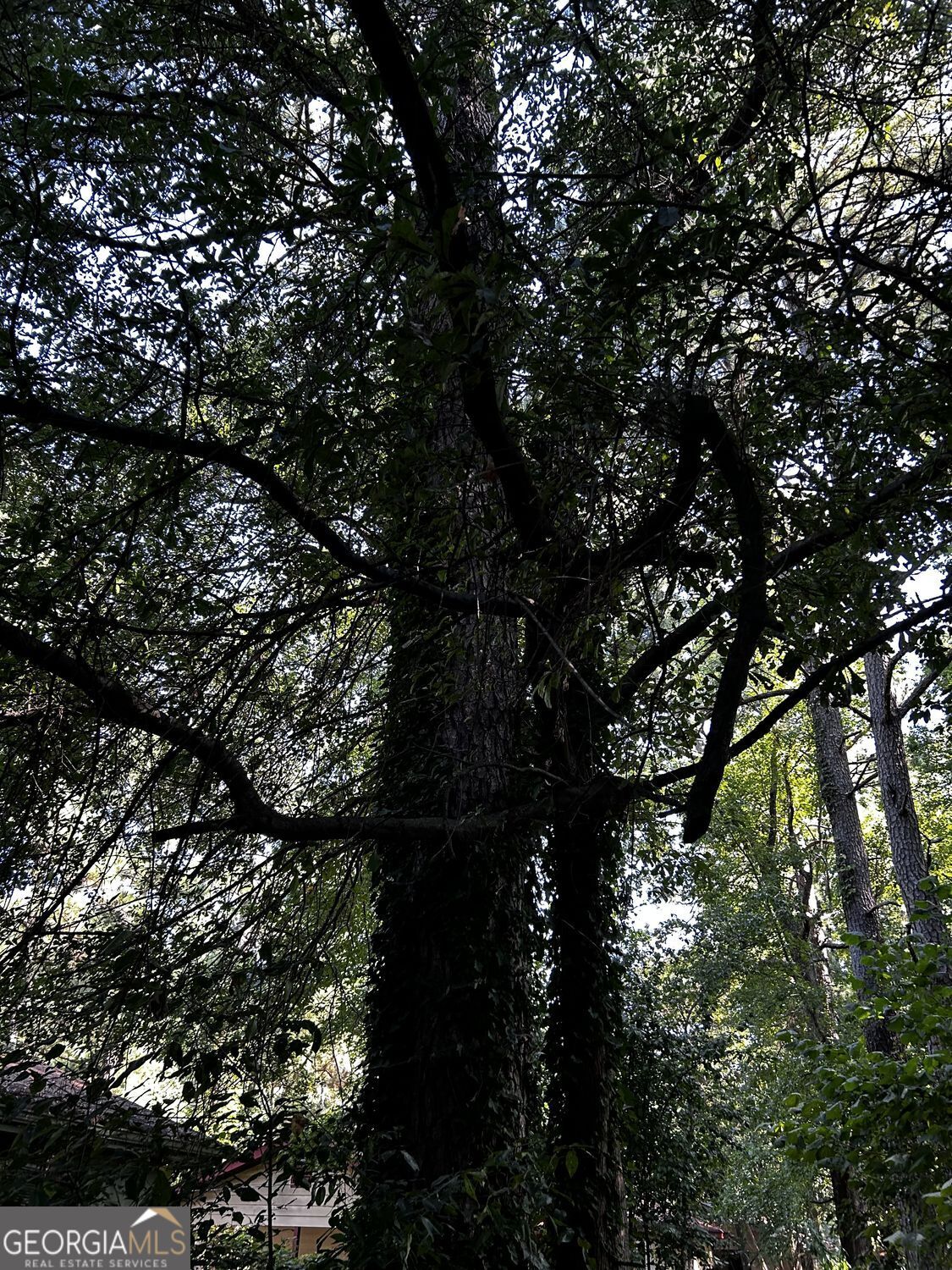 610 Roy Huie Road Riverdale GA 30274