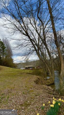 33 Speckled Trout Drive Cleveland GA 30528