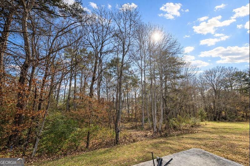 6135 Stone Creek Lane Rex GA 30273