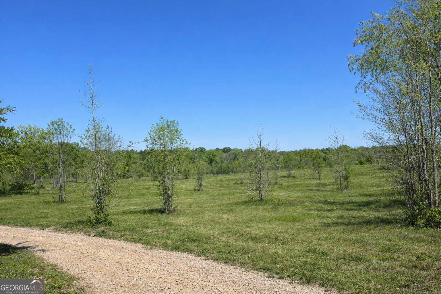 1590 Buttermilk Road SW Cave Spring GA 30124