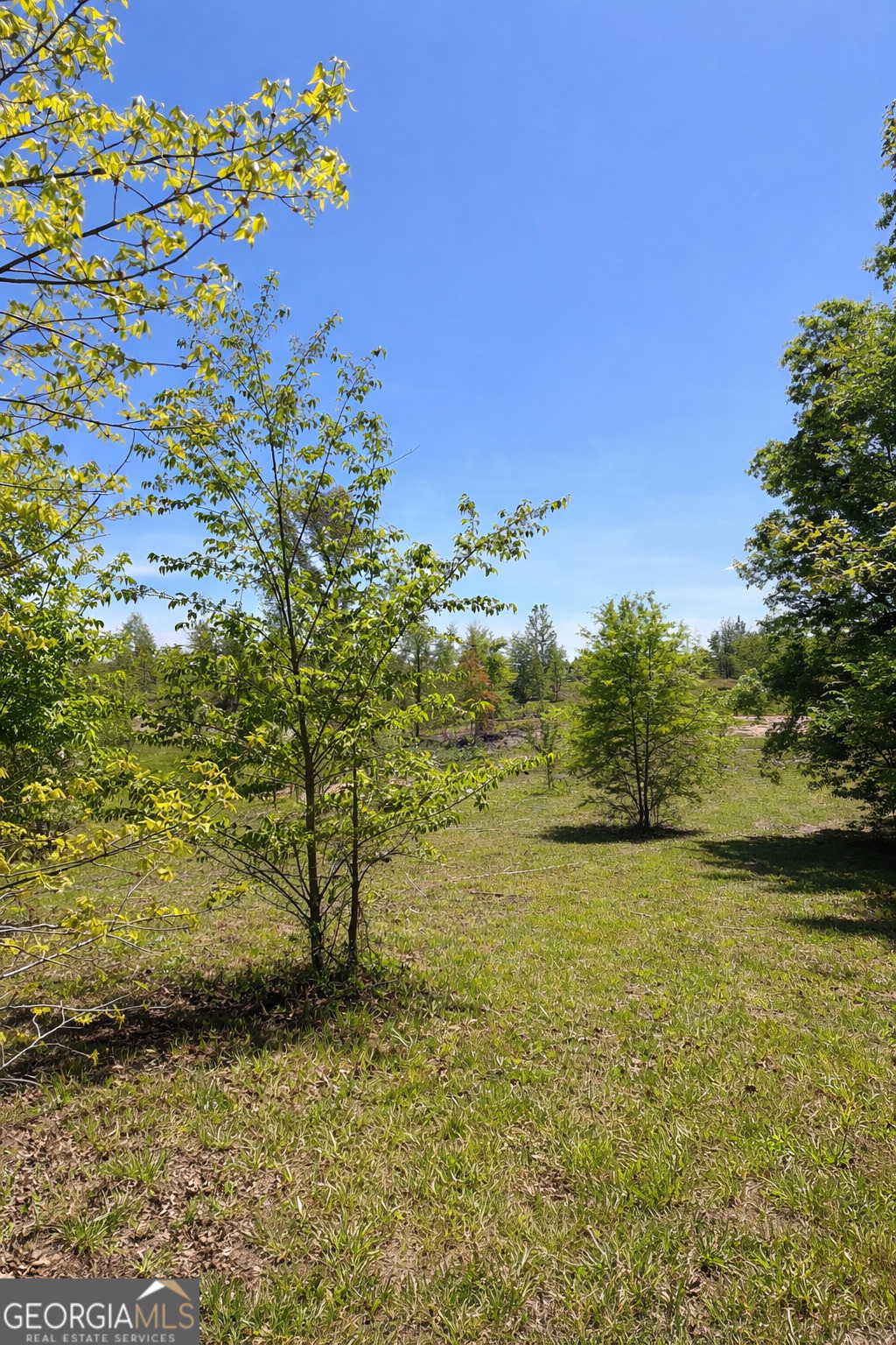 1590 Buttermilk Road SW Cave Spring GA 30124
