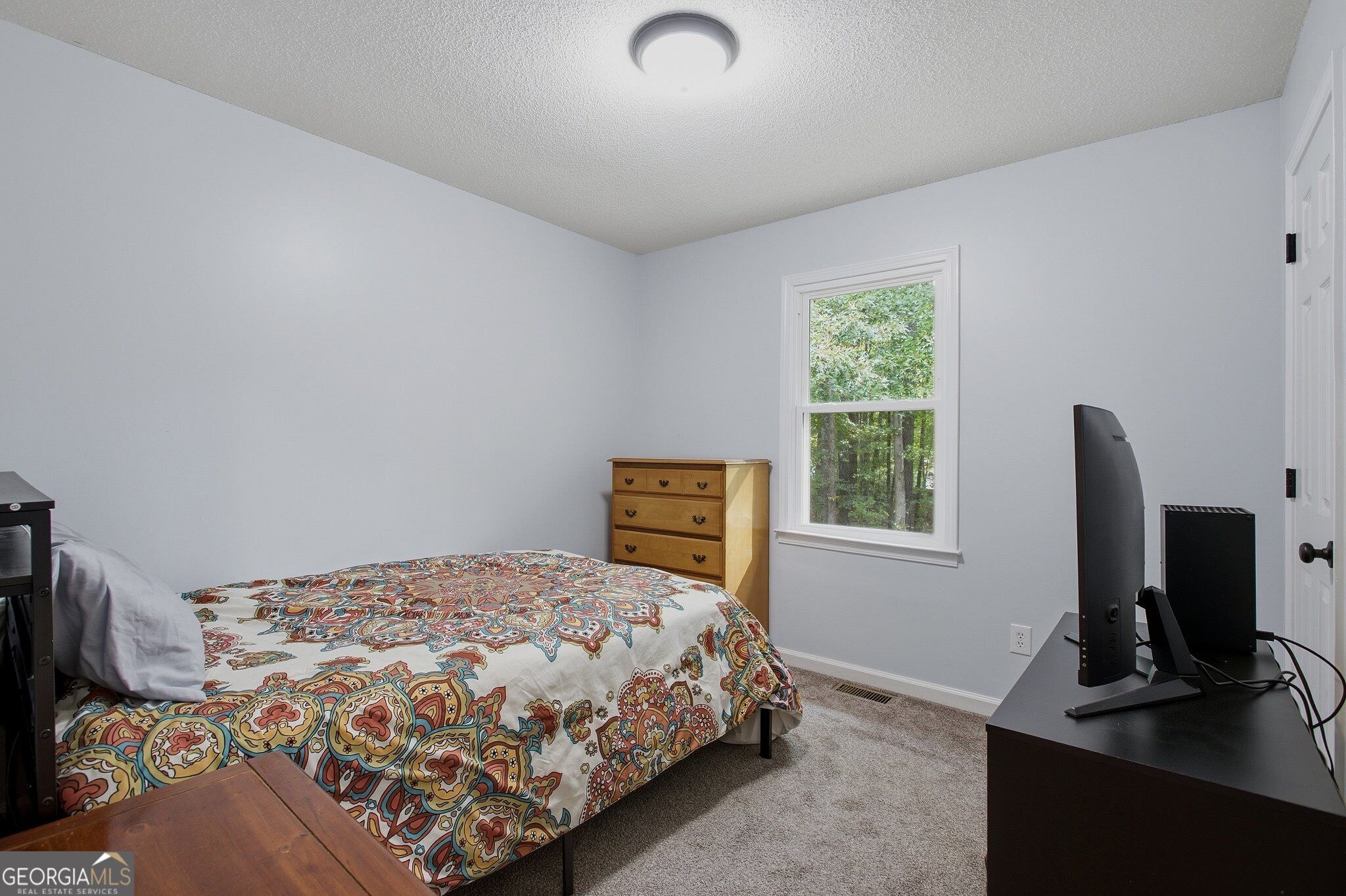 13 Black Water Drive White GA 30184