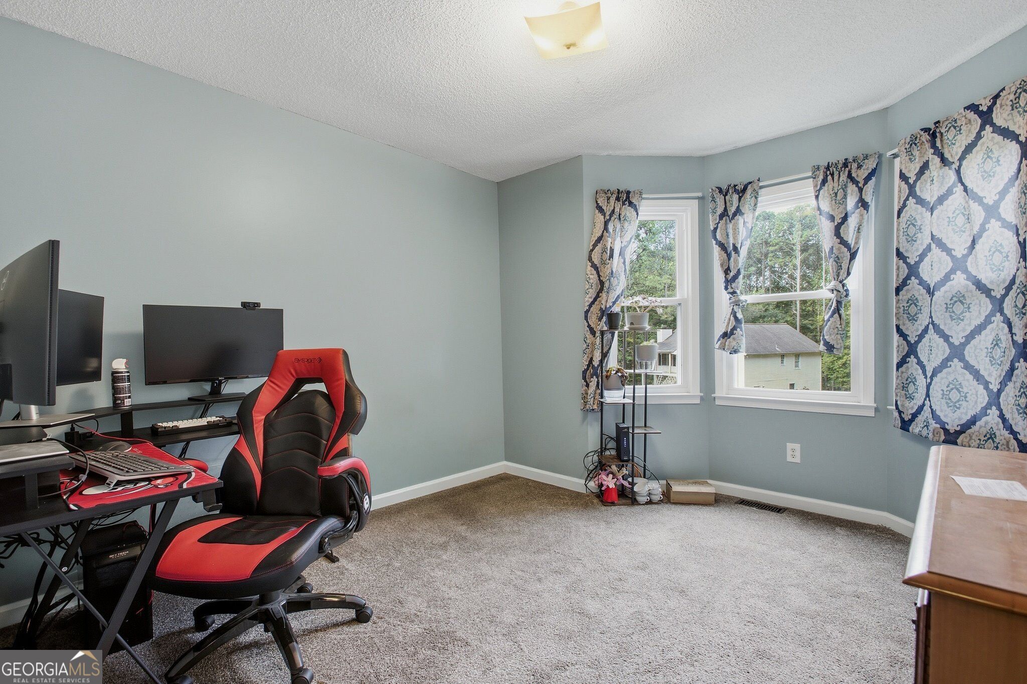 13 Black Water Drive White GA 30184