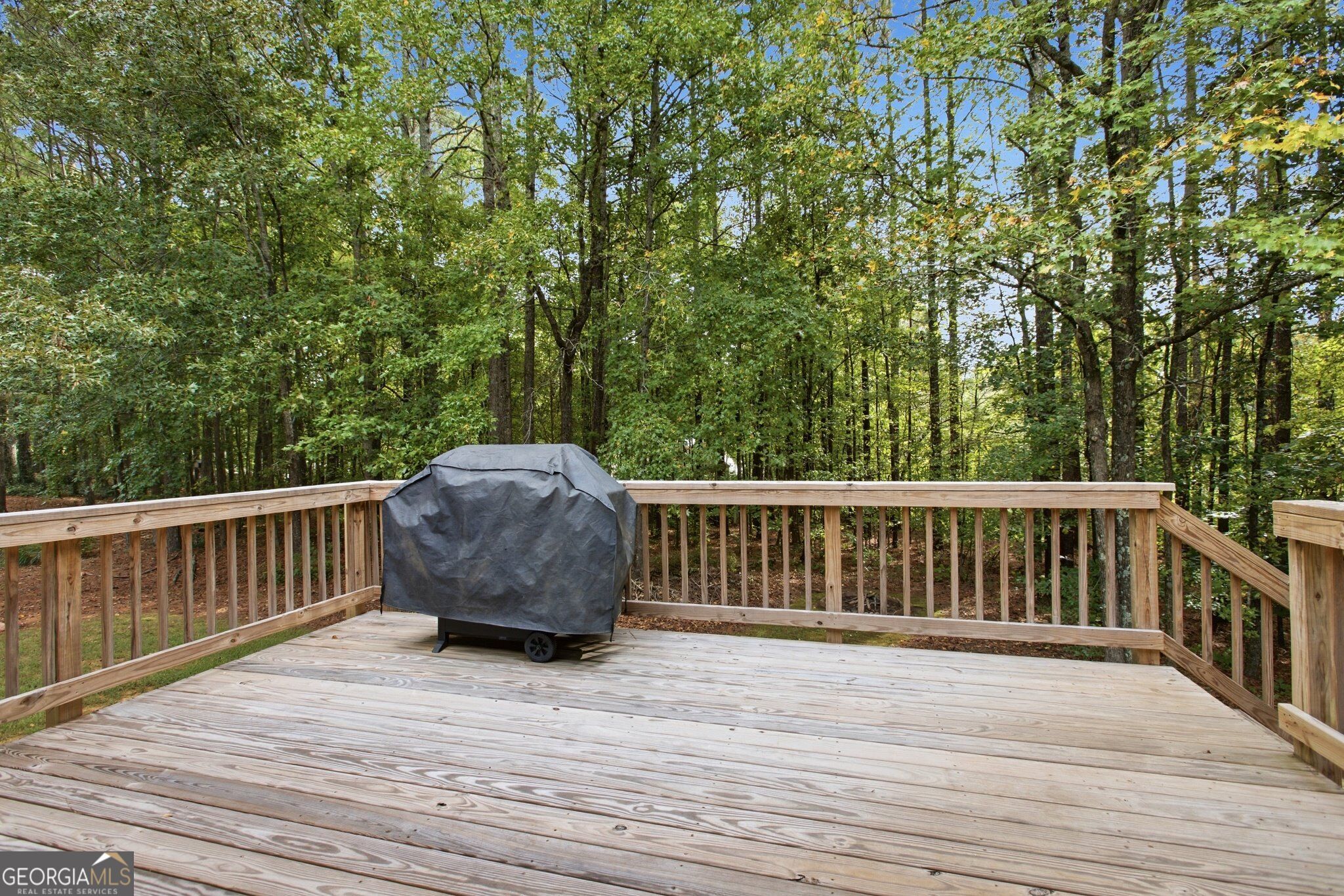13 Black Water Drive White GA 30184