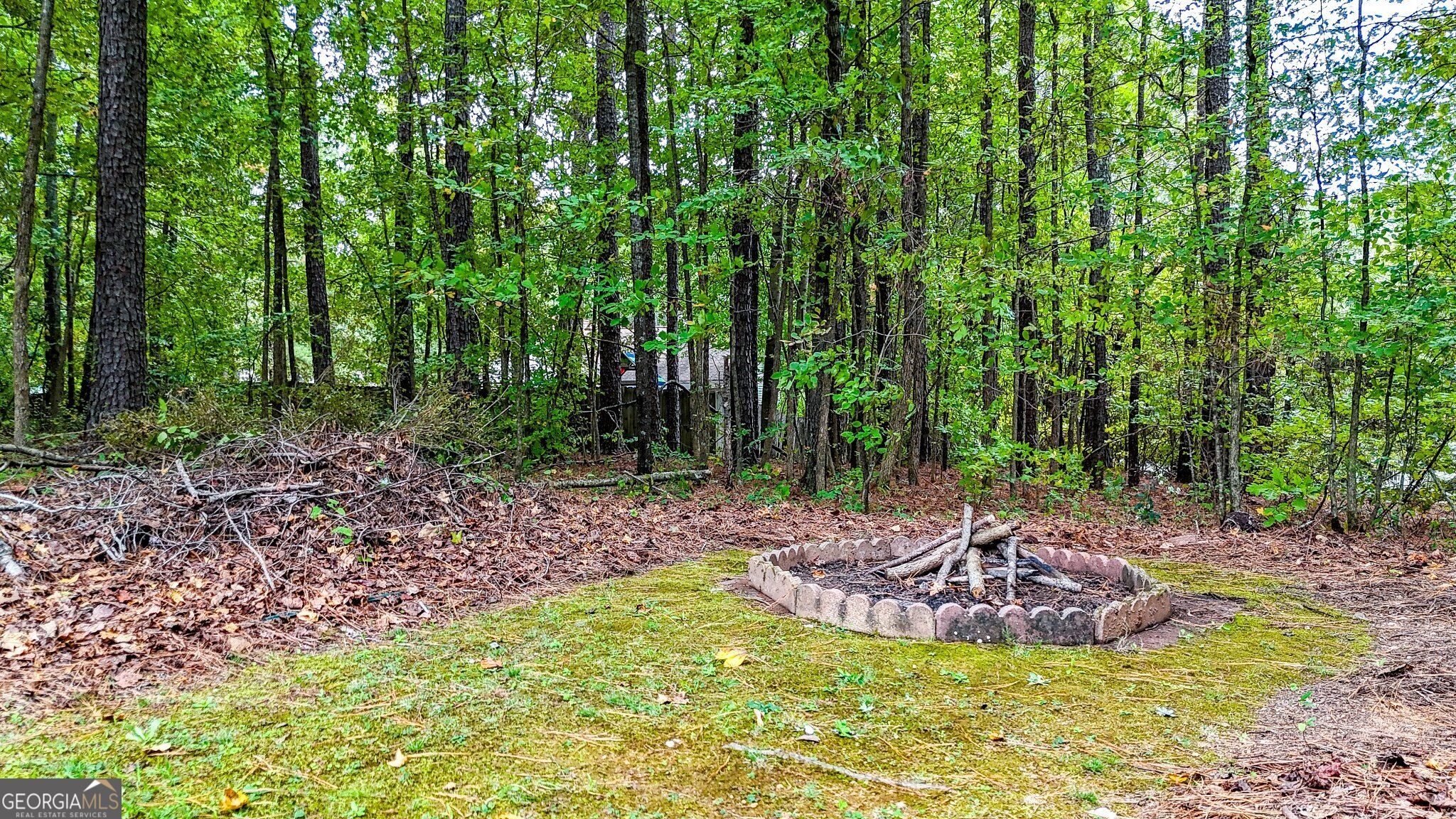 13 Black Water Drive White GA 30184