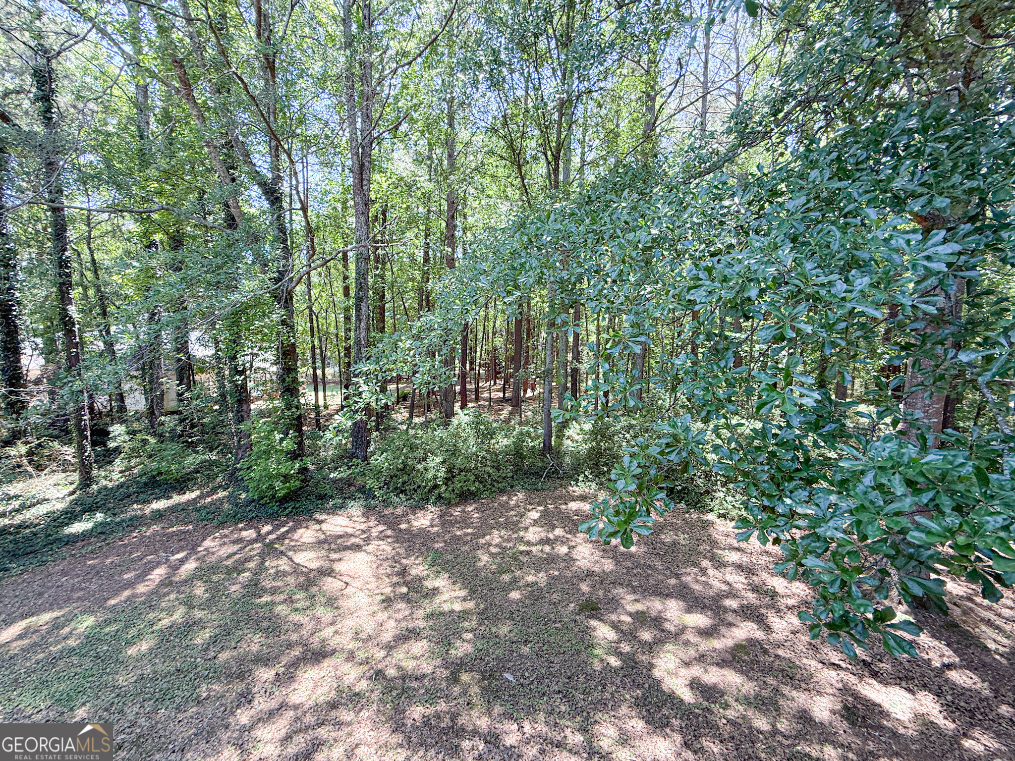 2028 Windfield Drive Monroe GA 30655