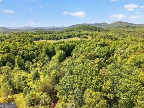 924 Fred Ash Road Dahlonega GA 30533