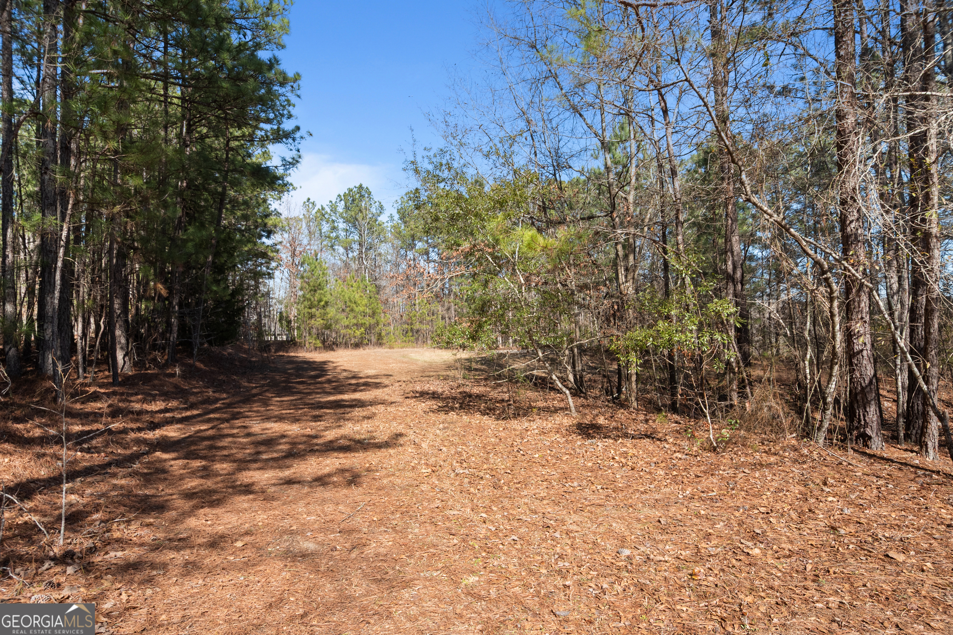 568 Martin Mill Road Moreland GA 30259