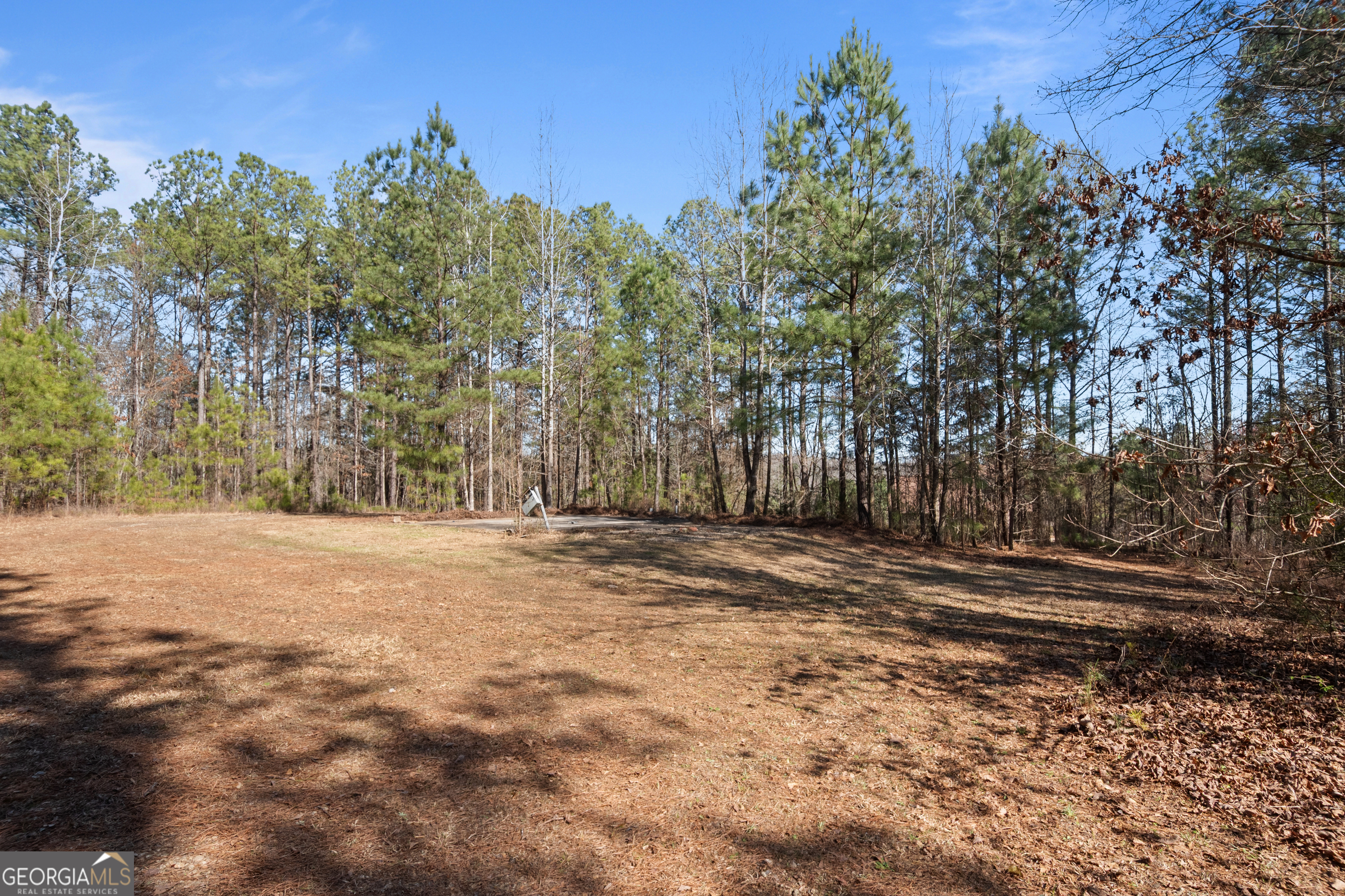 568 Martin Mill Road Moreland GA 30259