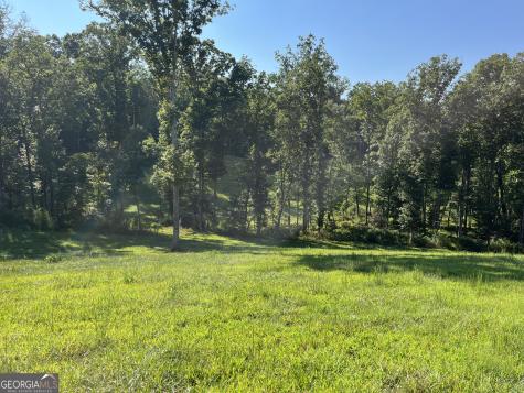 192 Flowers Drive Blairsville GA 30512